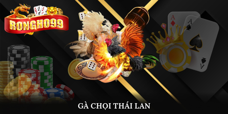 ga choi thai lan