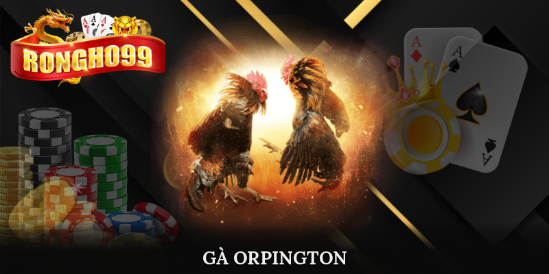 ga orpington