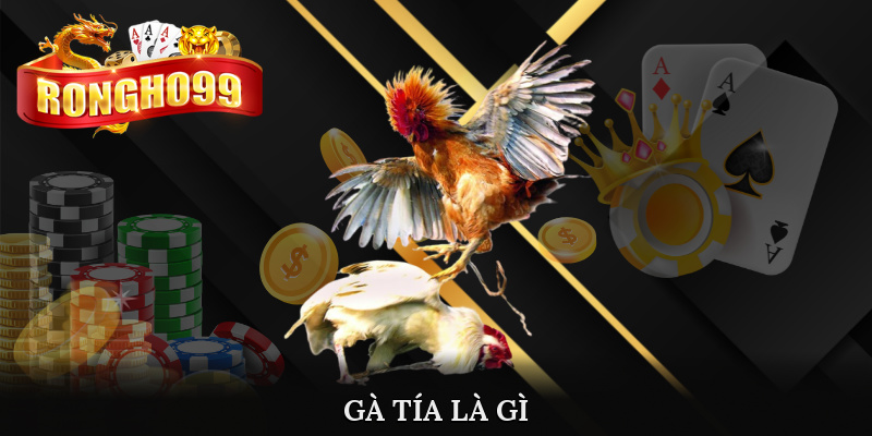 ga tia la gi