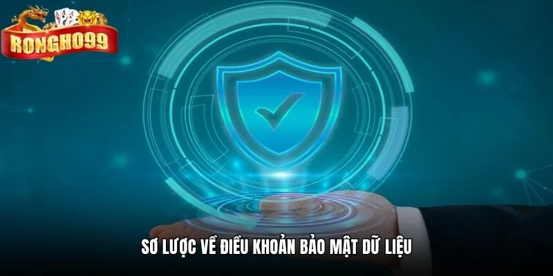 so luoc ve dieu khoan bao mat du lieu so luoc ve dieu khoan bao mat du lieu