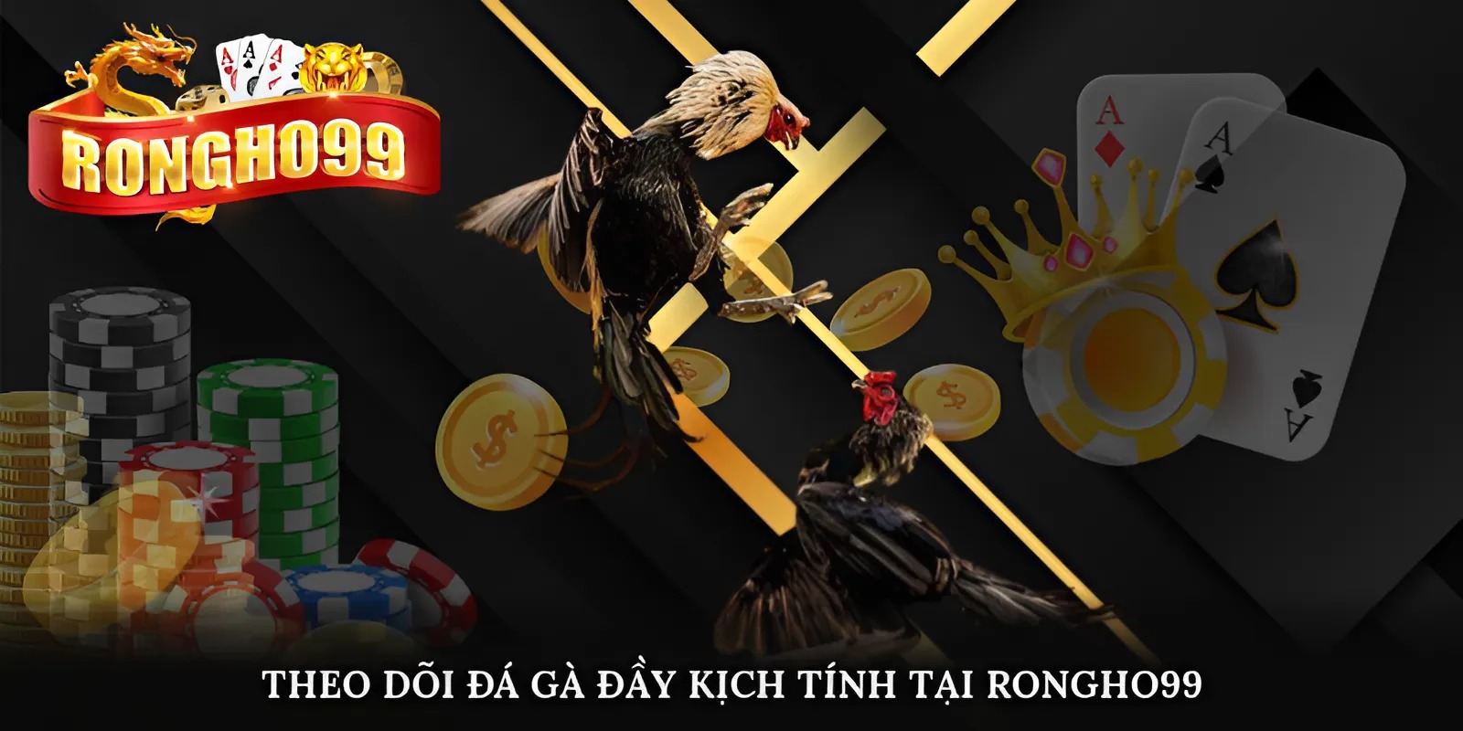 Theo dõi đá gà đầy kịch tính tại nhà cái Rongho99